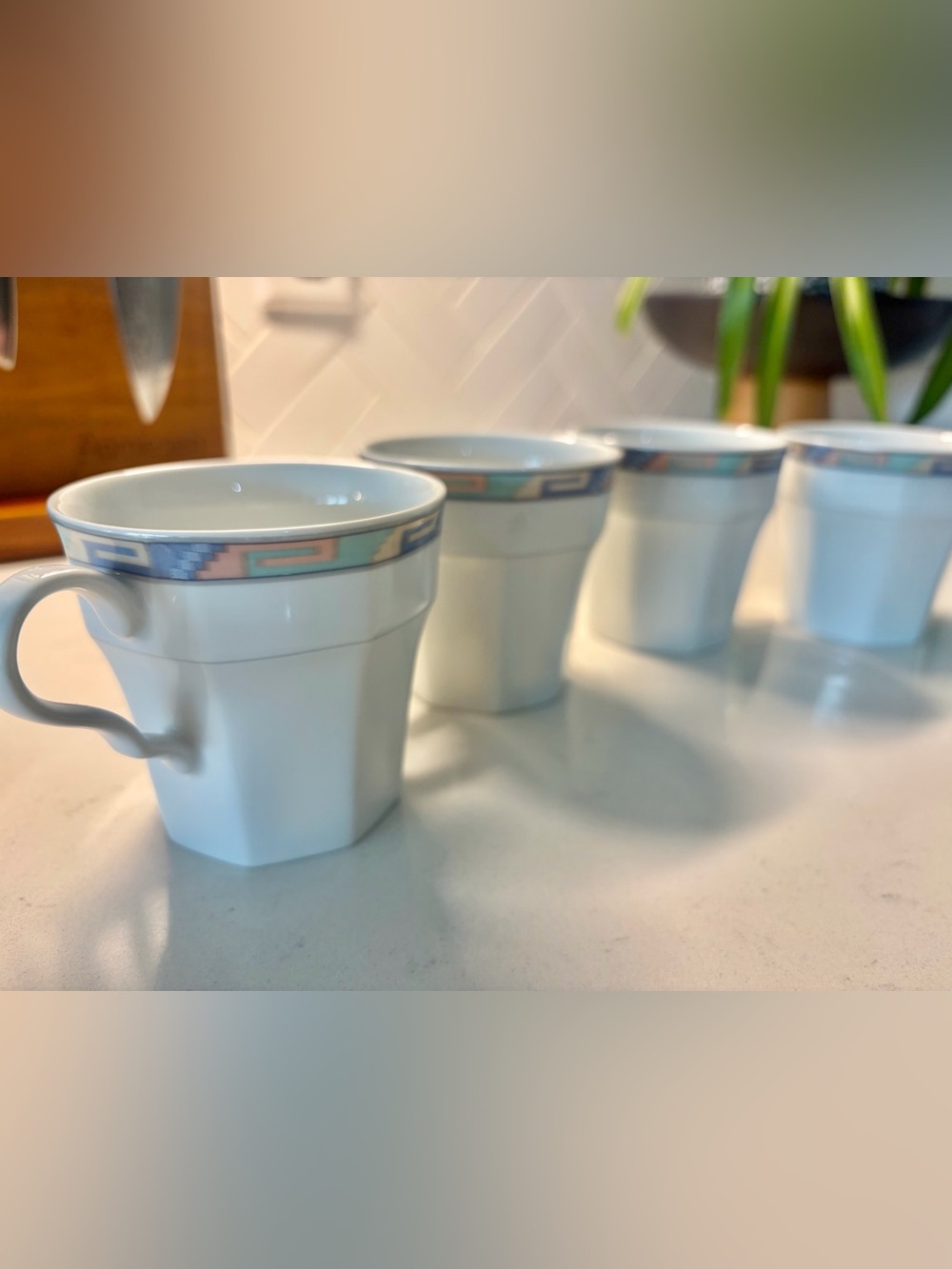 Christopher Stuart Y0002 Southwest fine china mugs (set of 4)
